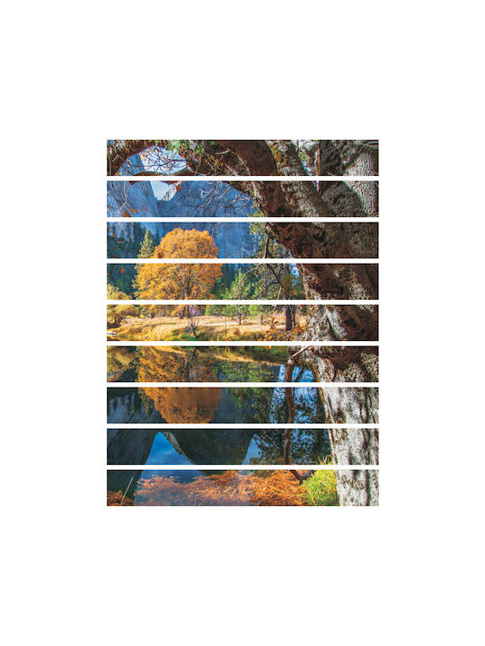 Wandsticker Treppe Wunderschöne Natur 1Stück Orafol