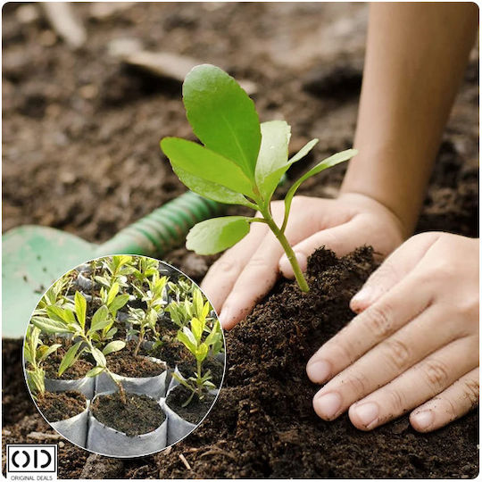 Seed Seedling Germination Bags Vegetables Fruits Premium Biodegradable Material Set 100 Pieces Size 10 X 8 Cm Original Deals