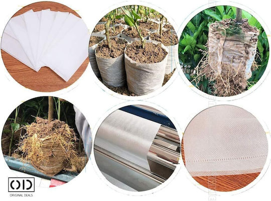 Seed Seedling Germination Bags Vegetables Fruits Premium Biodegradable Material Set 100 Pieces Size 12 X 10 Cm Original Deals