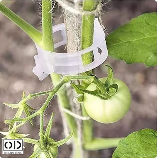 Cleme de Susținere pentru Legarea Lăstarilor de Plante Roșii Castraveți Viță de Vie Compatibilitate Universală Diametru 3 Cm Reutilizabil Set 100 Bucăți Alb Oferte Originale