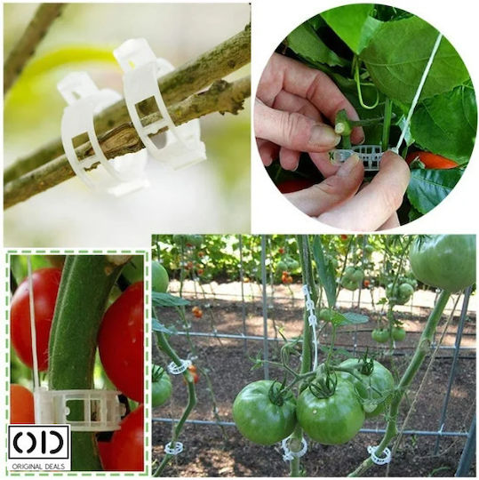 Cleme de Susținere pentru Legarea Lăstarilor de Plante Roșii Castraveți Viță de Vie Compatibilitate Universală Diametru 3 Cm Reutilizabil Set 100 Bucăți Alb Oferte Originale