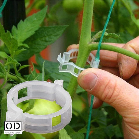Cleme de Susținere pentru Legarea Lăstarilor de Plante Roșii Castraveți Viță de Vie Compatibilitate Universală Diametru 3 Cm Reutilizabil Set 100 Bucăți Alb Oferte Originale