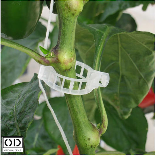 Cleme de Susținere pentru Legarea Lăstarilor de Plante Roșii Castraveți Viță de Vie Compatibilitate Universală Diametru 3 Cm Reutilizabil Set 100 Bucăți Alb Oferte Originale