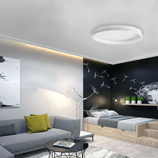 Toolight Ceiling Mount Light
