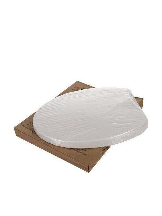 Ruhhy Plastic Toilet Seat White