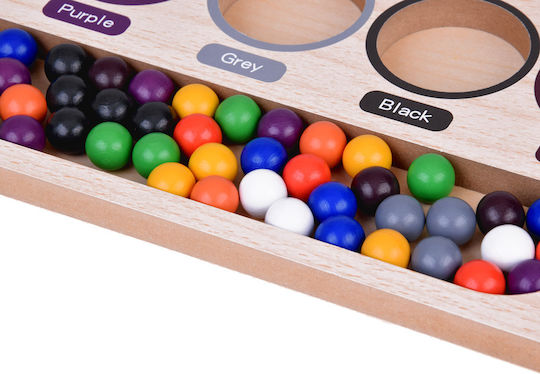 Jokomisiada Sorter Learning Colors Montessori Lernspiel Wissen aus Holz