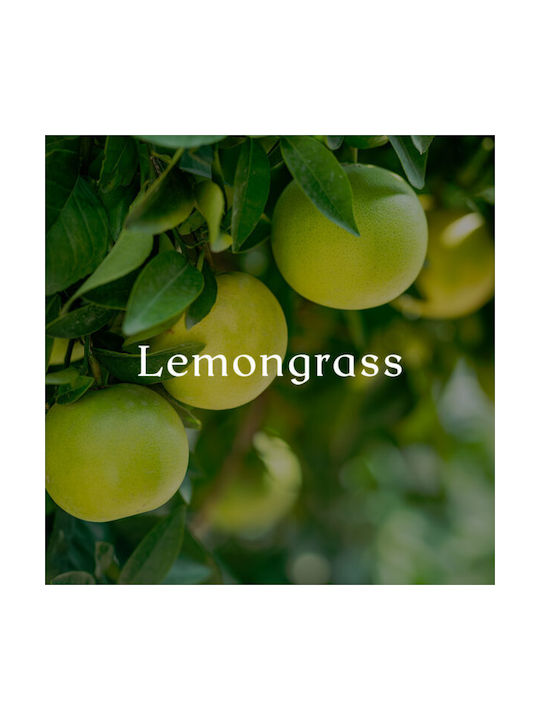 Cereria Molla Aromatisches Kerze Tea & Lemongrass in Gefäß mit Parfüm Tea & Lemongrass 700gr