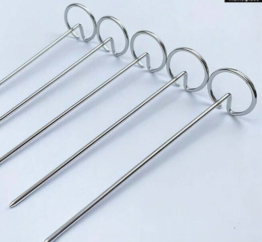10 Pcs Barbecue Sticks 10cm Accessories Air Fryer Spices Bazaar