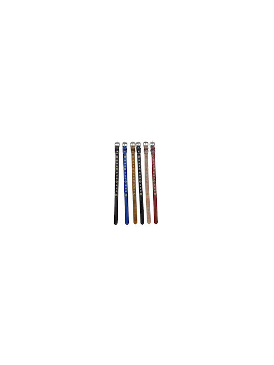 Dog Collar 20mm x 46cm 12pcs (Various Colors)