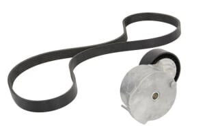 Ina Ribbed Belt Drive Set