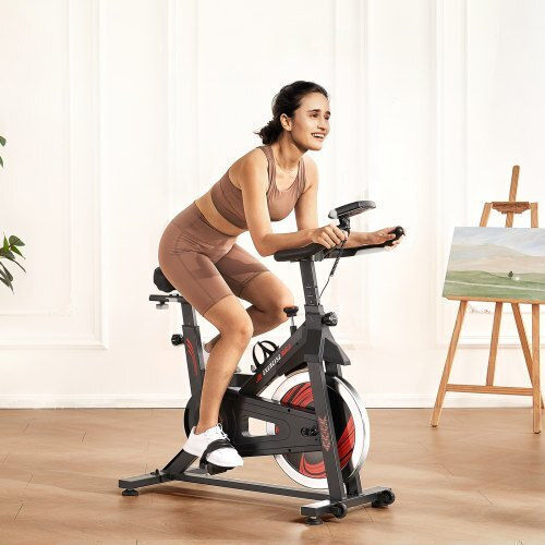 Vevor Bicicletă de exerciții staționară Magnetic