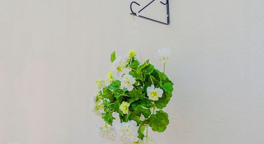 Kadax Decorative Round Lantern Hook Flower Pots