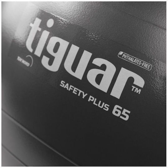 Tiguar Ball Pilates 65cm in Gray Color