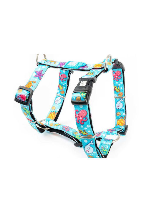 Max & Molly Ocean Albastru Mici 15mm x 41-52cm