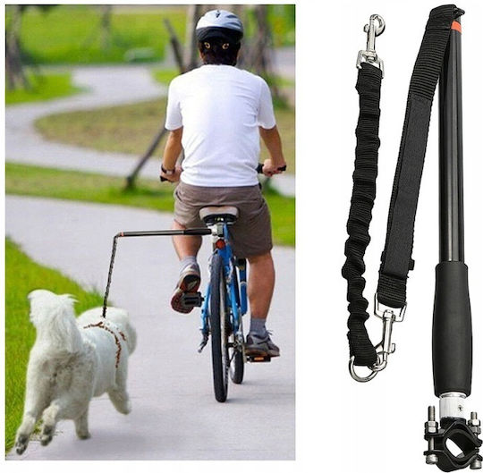 Dog Leash/Lead Strap in Black color