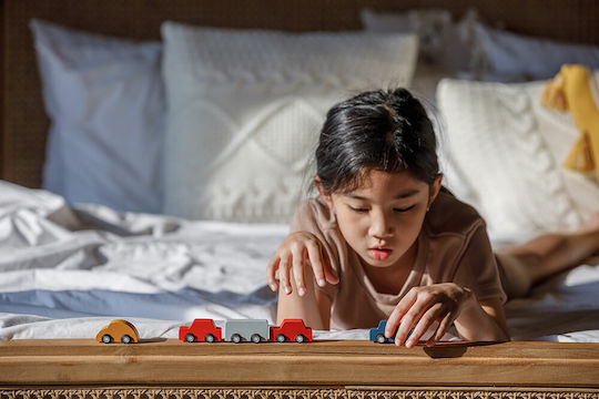Plan Toys Σετ Αυτοκινητάκια για 3+ Ετών
