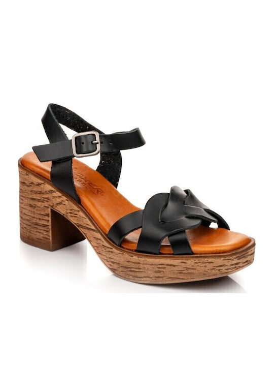 Boxer