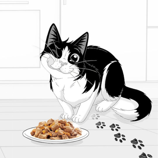 Felix Wet Food for Cats in Pouches with Chicken 85gr