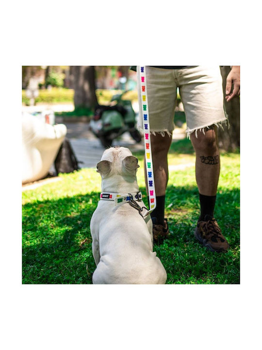 Pet Interest Κολάρο Σκύλου σε Λευκό χρώμα Large