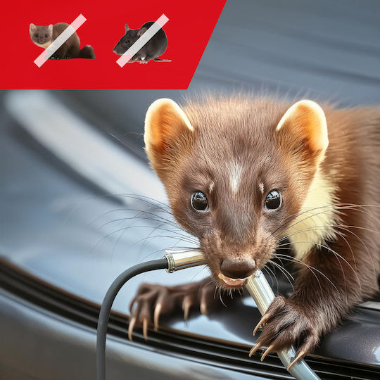 Auto Nagetierabschreckung Marder Mäuse Ratten Greenblue Gb725 Nagetier Und Marderabschreckung Ultraschall Led-leuchten