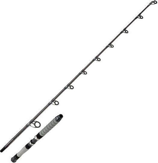 Okuma Catalina Boat Καλάμι Ψαρέματος για Jigging / Μολύβι Φύλακα 1.98m 287-