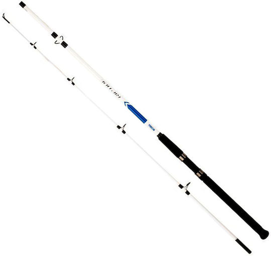 Mitchell Riptide Buscle Καλάμι Ψαρέματος για Casting / Καθετή 2.12m 20-100gr