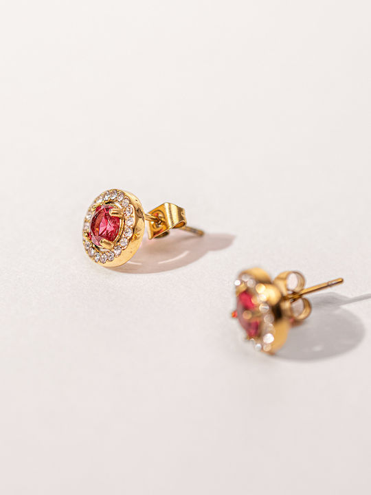 Chrysothemiss Earrings made of Steel Gold Plated with Stones