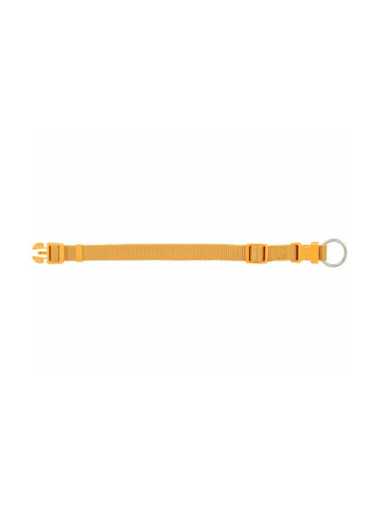 Trixie Premium Dog Collar in Yellow color XSmall / Small