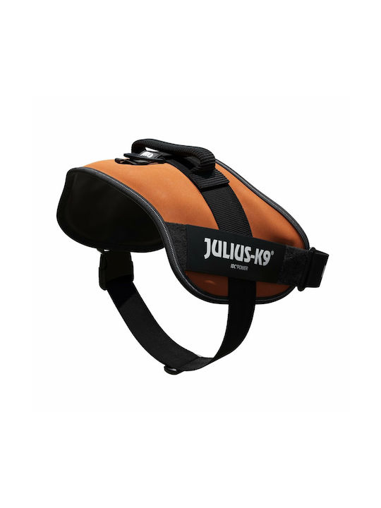 Julius K9 Dog Harness Orange X-Large