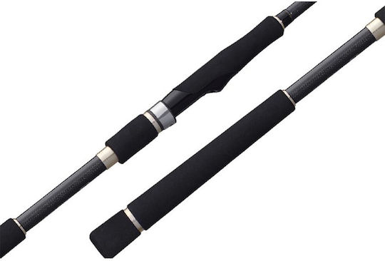 Graphiteleader Argento Ux 21' 2,74m 5-21gr 902lml