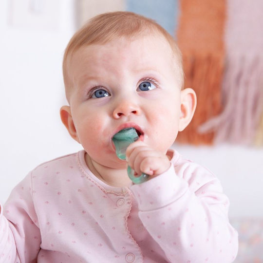 Brush-Baby Kaubarer Zahnbürstenset 2 Stück 10-36 Monate