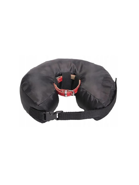 Grande Finale Dog Collar in Black Colour XXLarge 47cm Grande Finale Dog Collar in Black Colour XXLarge 47cm