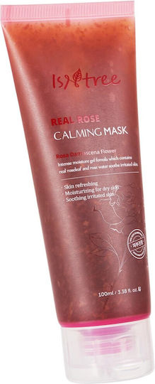 Isntree Real Gesichts- & Augenmasken 100ml
