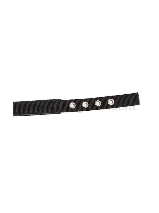 Kerbl Miami Plus Κολάρο Σκύλου σε Πράσινο χρώμα 30mm x 53cm