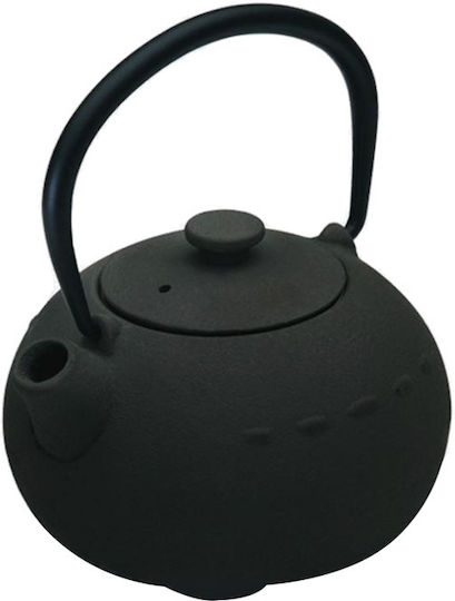 Dinox Cast Iron Teapot with Filter Black 400ml