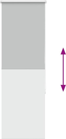 vidaXL Roller Blinds Total Blackout Gray W50xH175cm 4011404