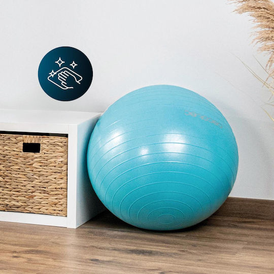 Cecotec Μπάλα Pilates 65cm
