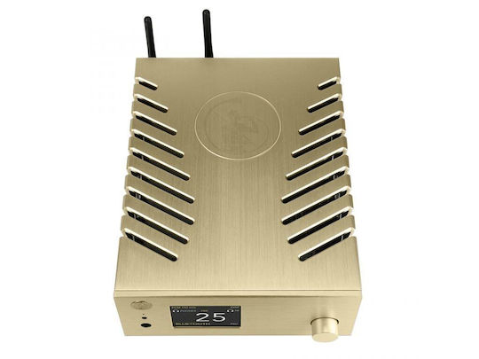 Gold Note DAC Χρυσό