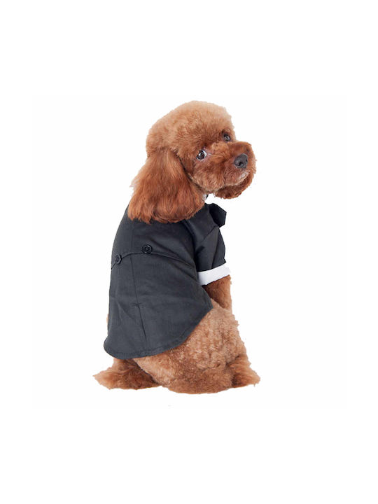Hundeshirt in Schwarz Farbe 35cm.