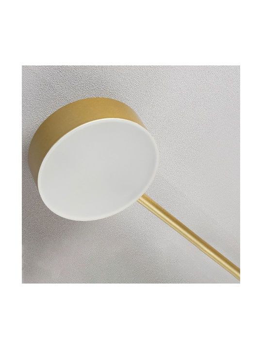 Toolight Plafonieră de Tavan Aurie cu LED Integrat