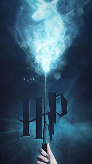 Παιδικό Παγούρι Harry Potter