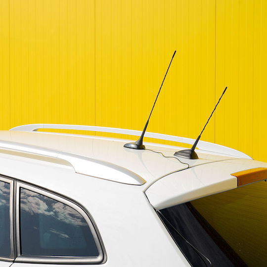 PNI KFZ-Antenne Dach Magnetisch für Radio