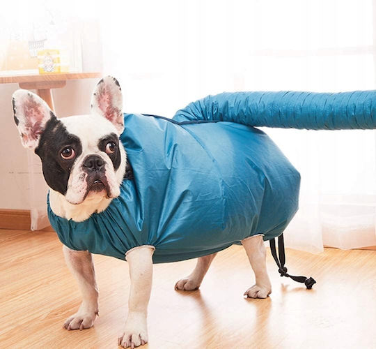 Pet Dryer Dogs Cats 6-15kg Connects To Hair Dryer
