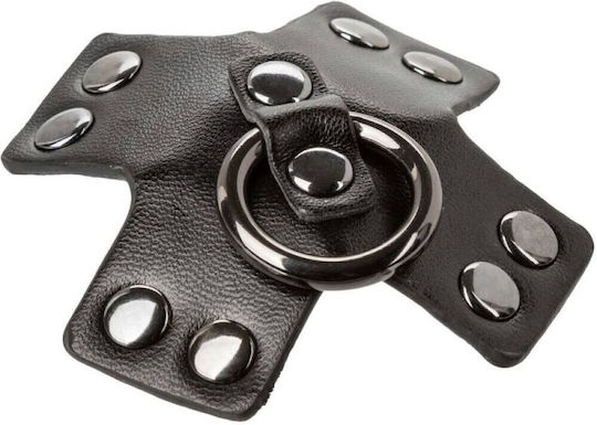 Calexotics Εσώρουχο Μαύρο