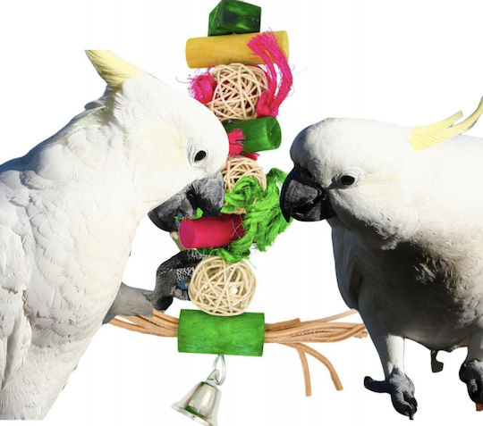 Balls Cubes Hanging Wooden Toy Medium Parrots