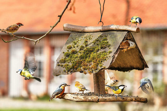 Claus Garden Bird Feed Food Garden Birds 500g