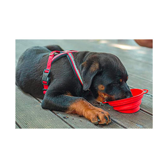 Ferplast Bowl Silicone Food & Water for Dog & Cat 500ml 14cm in Red Color