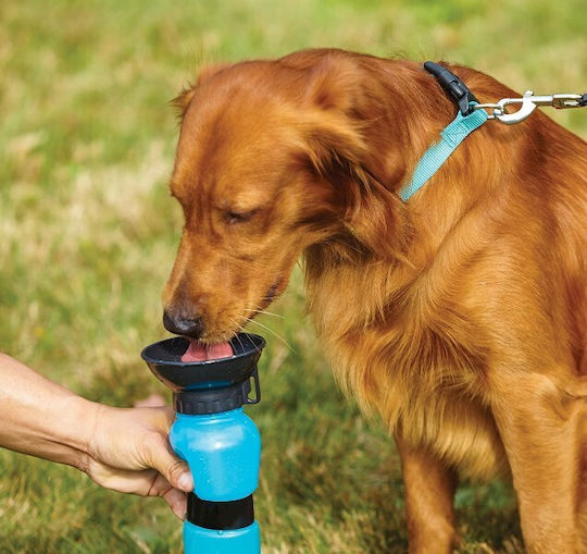 Kunststoff Flasche Wasser für Hund & Katze 500ml