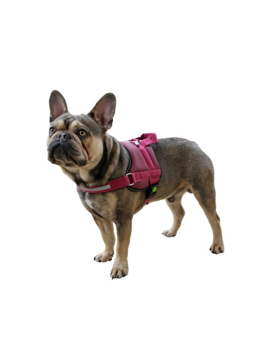 Kerbl Dog Harness Training Maestro 2.0 Red 25mm x 64-90cm 80687