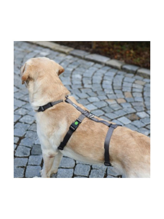 Kerbl Dog Training Harness Panic Harness Miami Gray 15mm x 38-52cm 80040